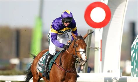 corach rambler horse odds
